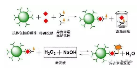 【兆恒機(jī)械】化學(xué)發(fā)光免疫分析技術(shù)-引領(lǐng)體外診斷行業(yè)